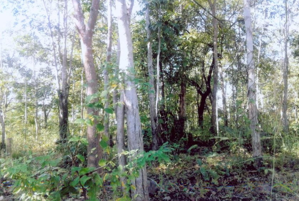 ที่ดินเปล่า ตาก เมืองตาก วังหิน 4788000