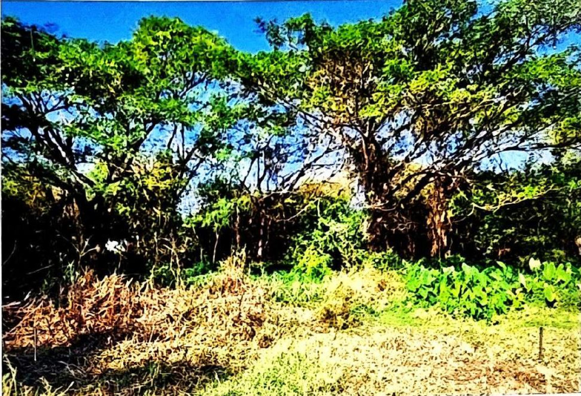 ที่ดินเปล่า อุดรธานี เพ็ญ เพ็ญ 506520