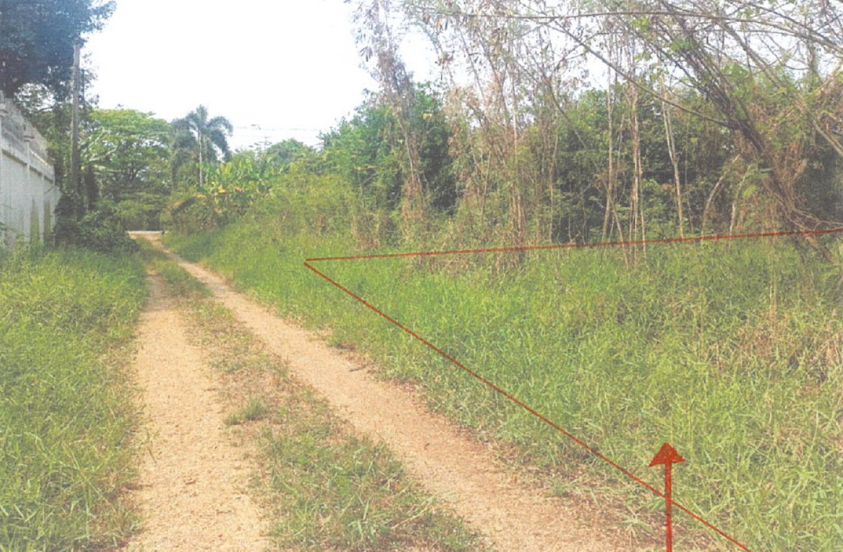 ที่ดินเปล่า นนทบุรี ไทรน้อย หนองเพรางาย 423500