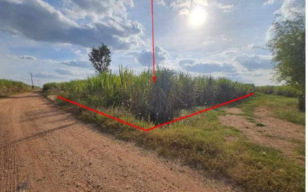 Residential land/lot Nakhon Ratchasima Phra Thong Kham Thap Rang 3101160