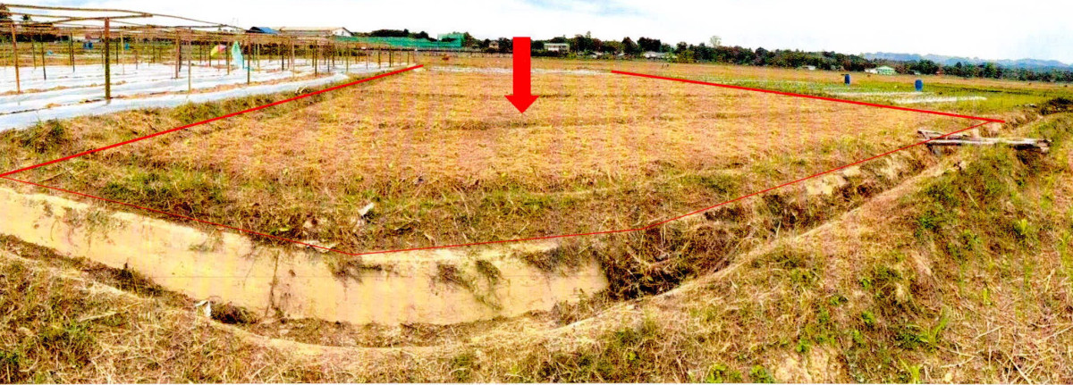 ที่ดินเปล่า น่าน สันติสุข พงษ์ 40000