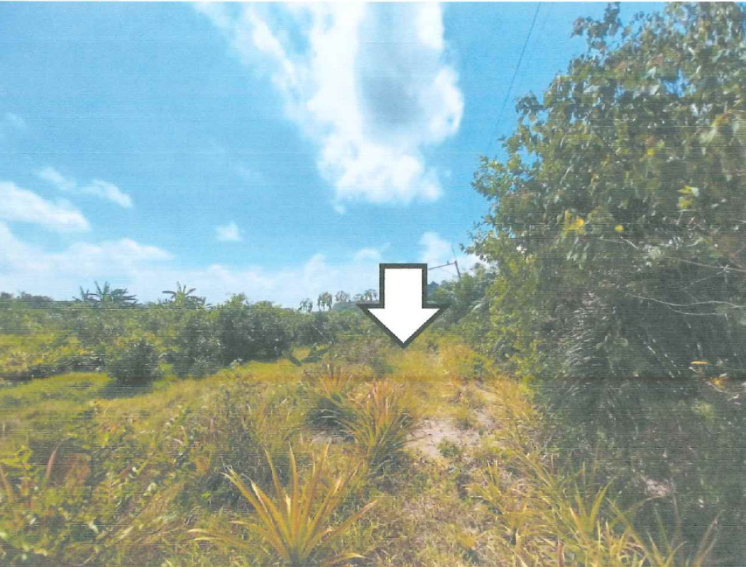 Residential land/lot Nakhon Si Thammarat Hua Sai Sai Khao 240000