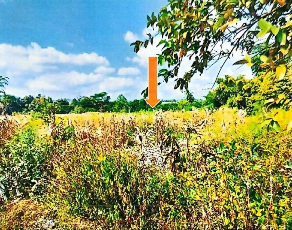 Residential land/lot Lamphun Li Na Sai 297450