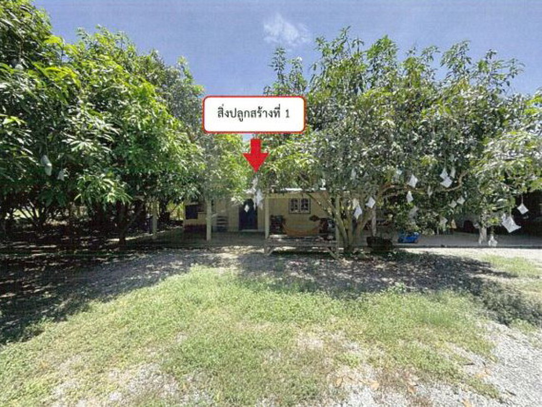 Single house Sing Buri In Buri Prasuk 899440