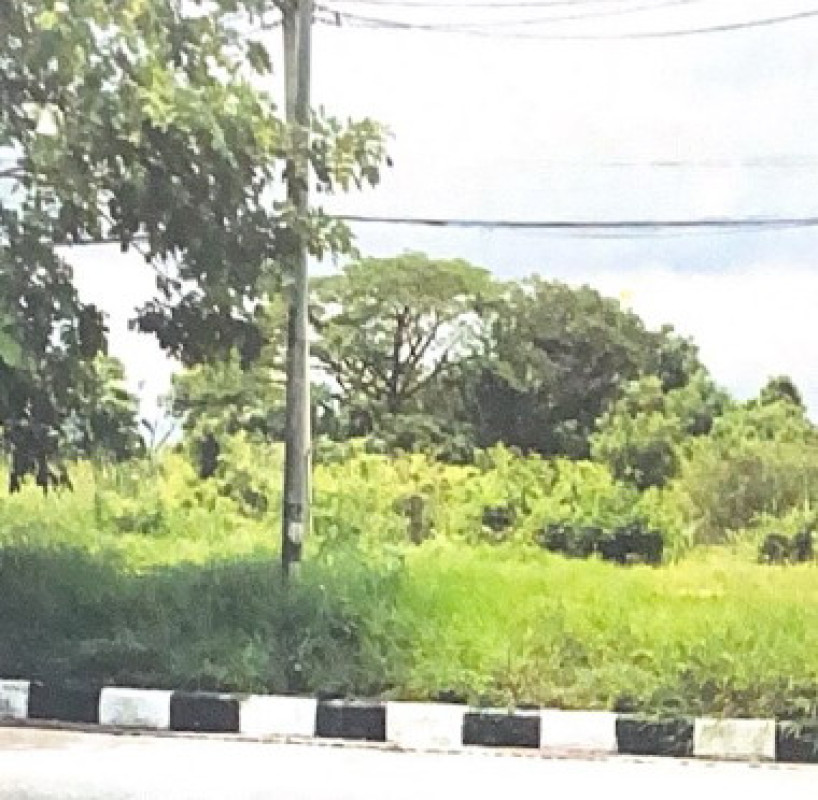 ที่ดินเปล่า นครนายก เมืองนครนายก วังกระโจม 9432500
