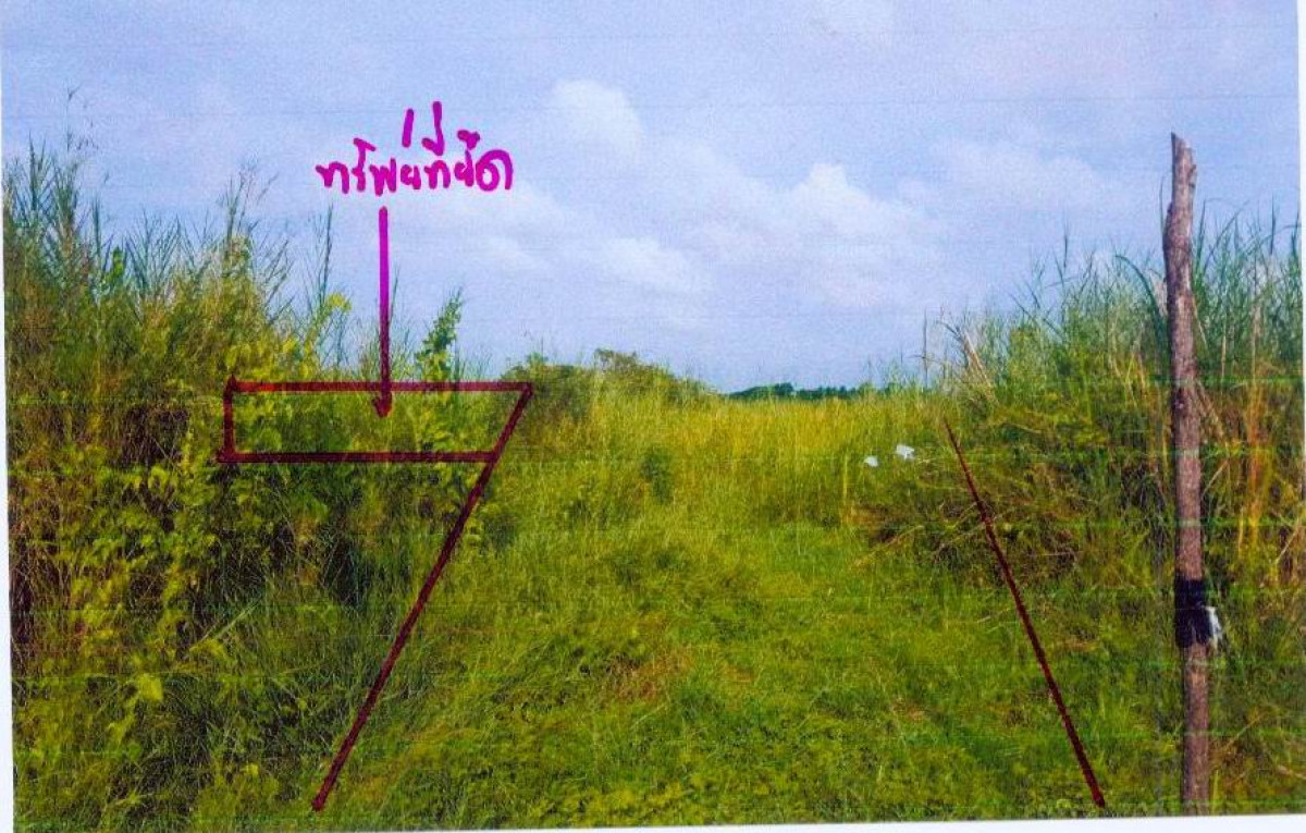 ที่ดินเปล่า นครศรีธรรมราช เมืองนครศรีธรรมราช ปากนคร 180000