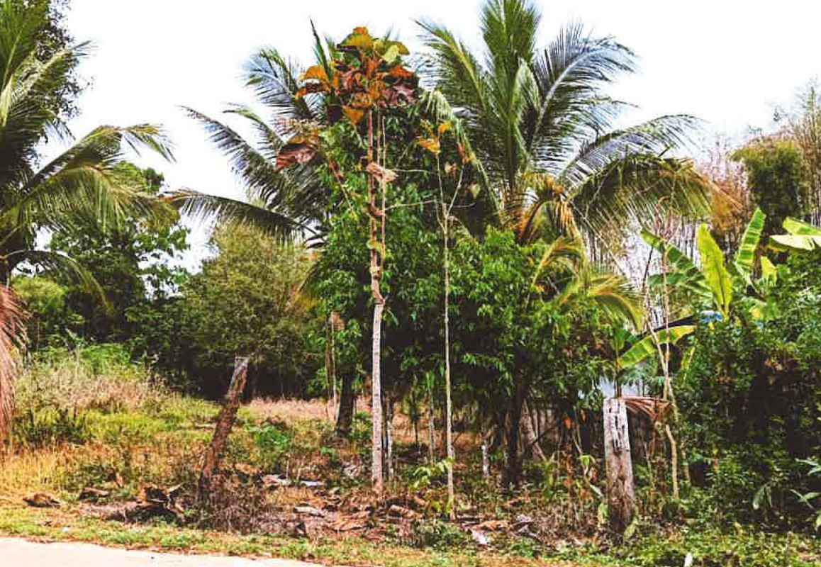 Residential land/lot Chiang Rai Mae Chan San Sai 335400