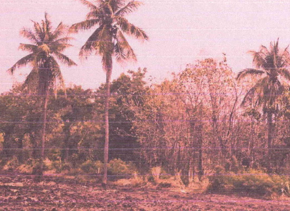 Residential land/lot Loburi Khok Samrong Nong Khaem 10000