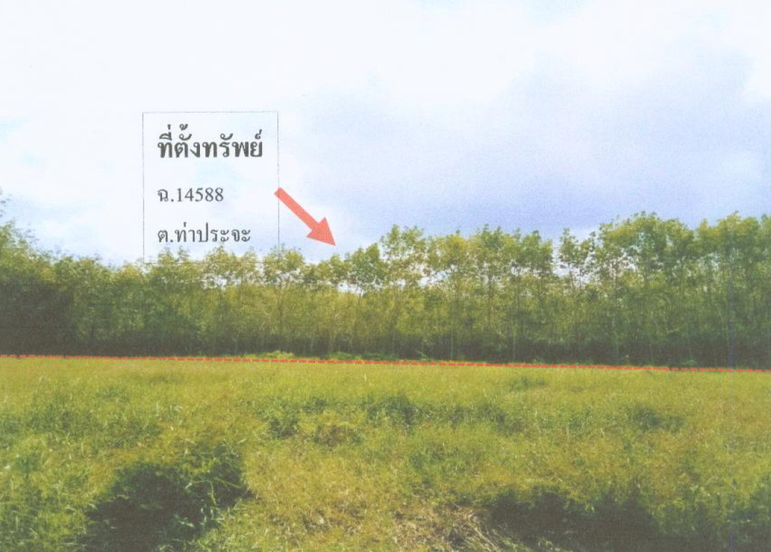 Residential land/lot Nakhon Si Thammarat Cha-uat Tha Pracha 291240