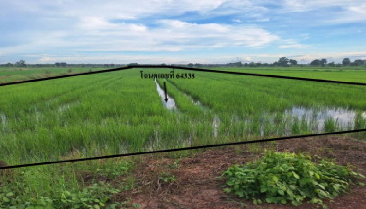 ที่ดินเปล่า พิษณุโลก พรหมพิราม ตลุกเทียม 400000