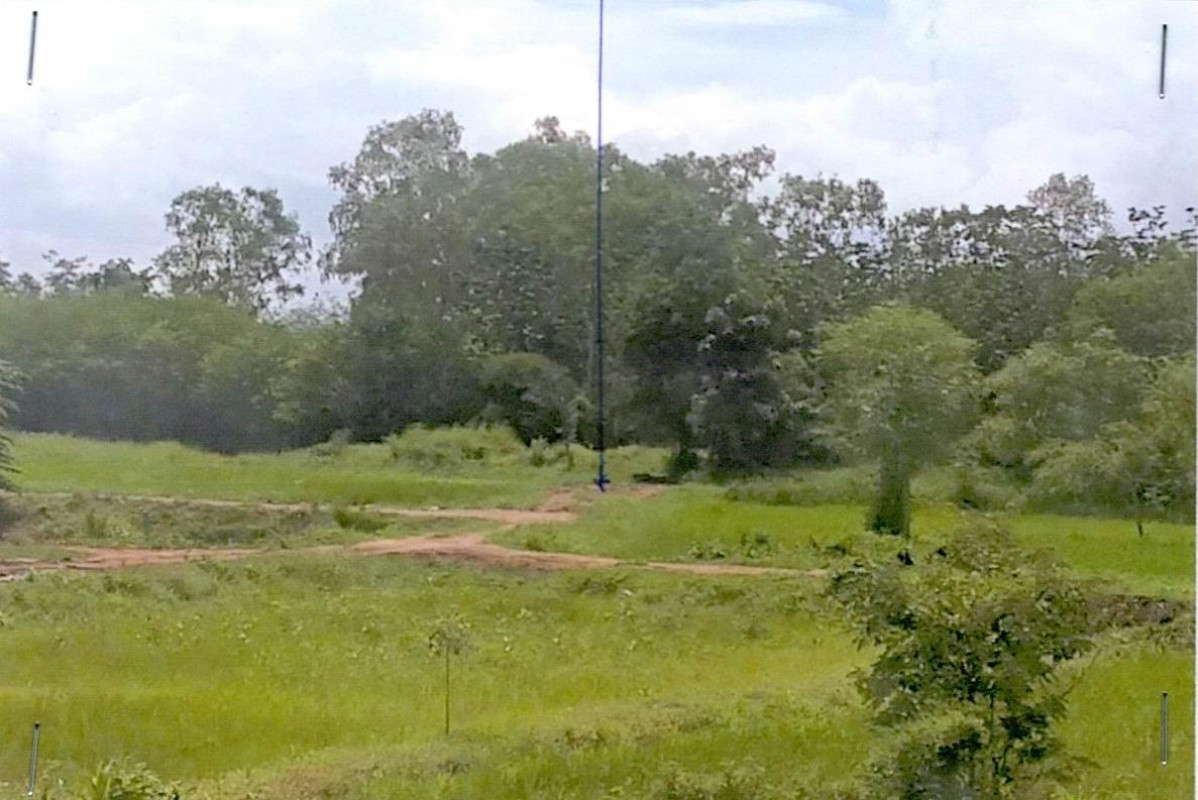 ที่ดินเปล่า ขอนแก่น ชุมแพ หนองไผ่ 22250