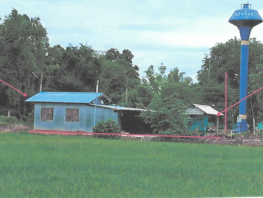 บ้านเดี่ยว ชัยนาท หันคา เด่นใหญ่ 362820