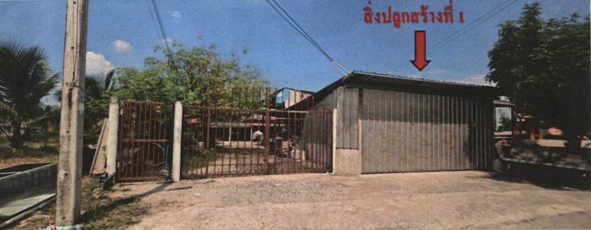 บ้านเดี่ยว ชลบุรี พานทอง หนองหงษ์ 1008720