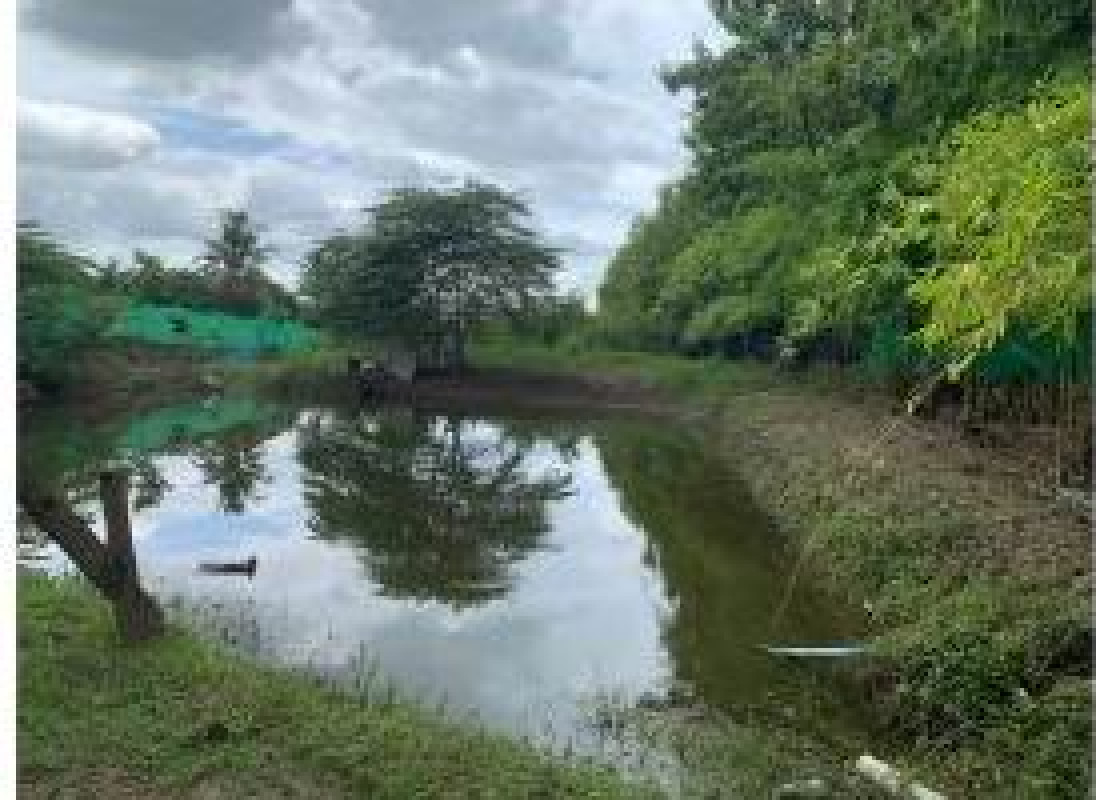 Residential land/lot Chiang Mai San Pa Tong ทุ่งต้อม 270000