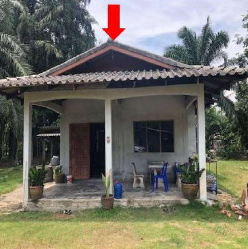Single house Nakhon Si Thammarat Phra Phrom Chang Sai 395235