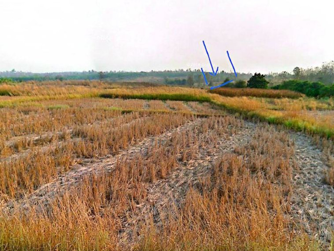 Residential land/lot Phitsanulok Nakhon Thai Nong Kathao 1929330