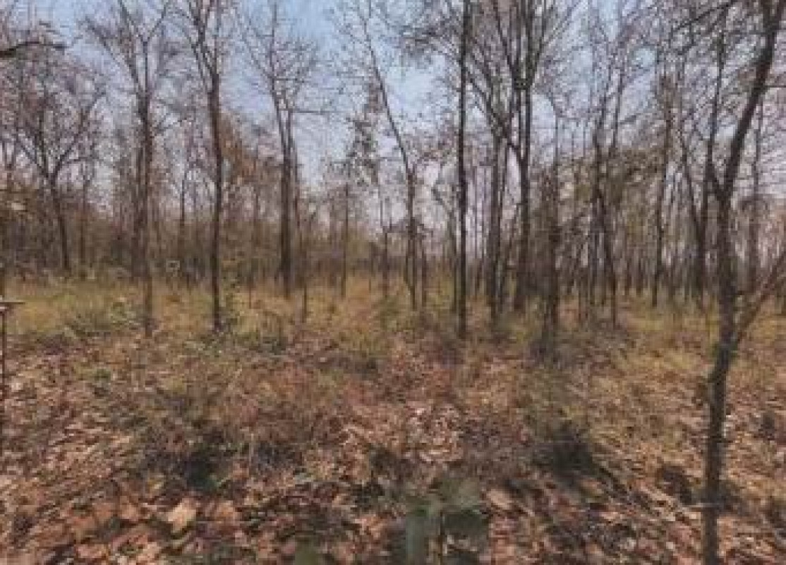 Residential land/lot Udon Thani Mueang Udon Thani Sam Phrao 179000