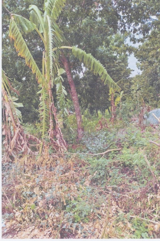 Residential land/lot Nonthaburi Sai Noi Nong Phrao Ngai 364000