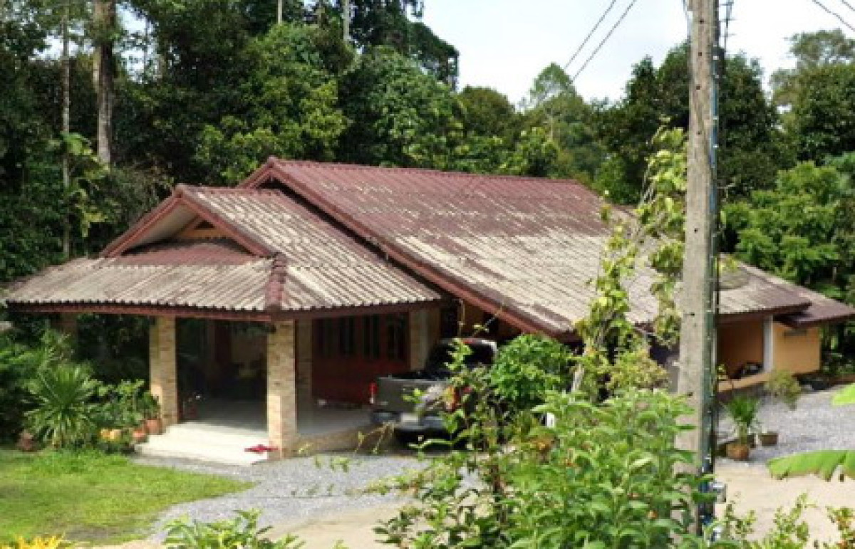 บ้านเดี่ยว นครศรีธรรมราช พรหมคีรี พรหมโลก 1005100