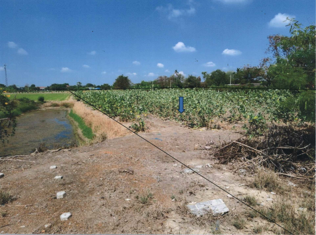 Residential land/lot Nonthaburi Sai Noi Nong Phrao Ngai 2531500