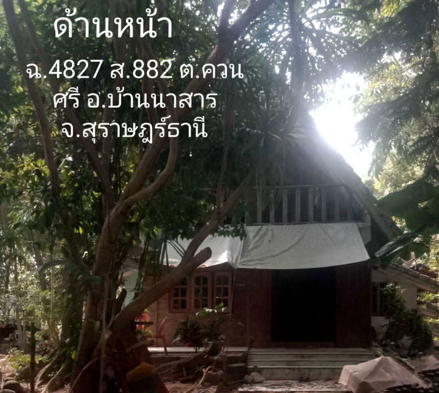 บ้านเดี่ยว สุราษฎร์ธานี บ้านนาสาร ควนศรี 763800
