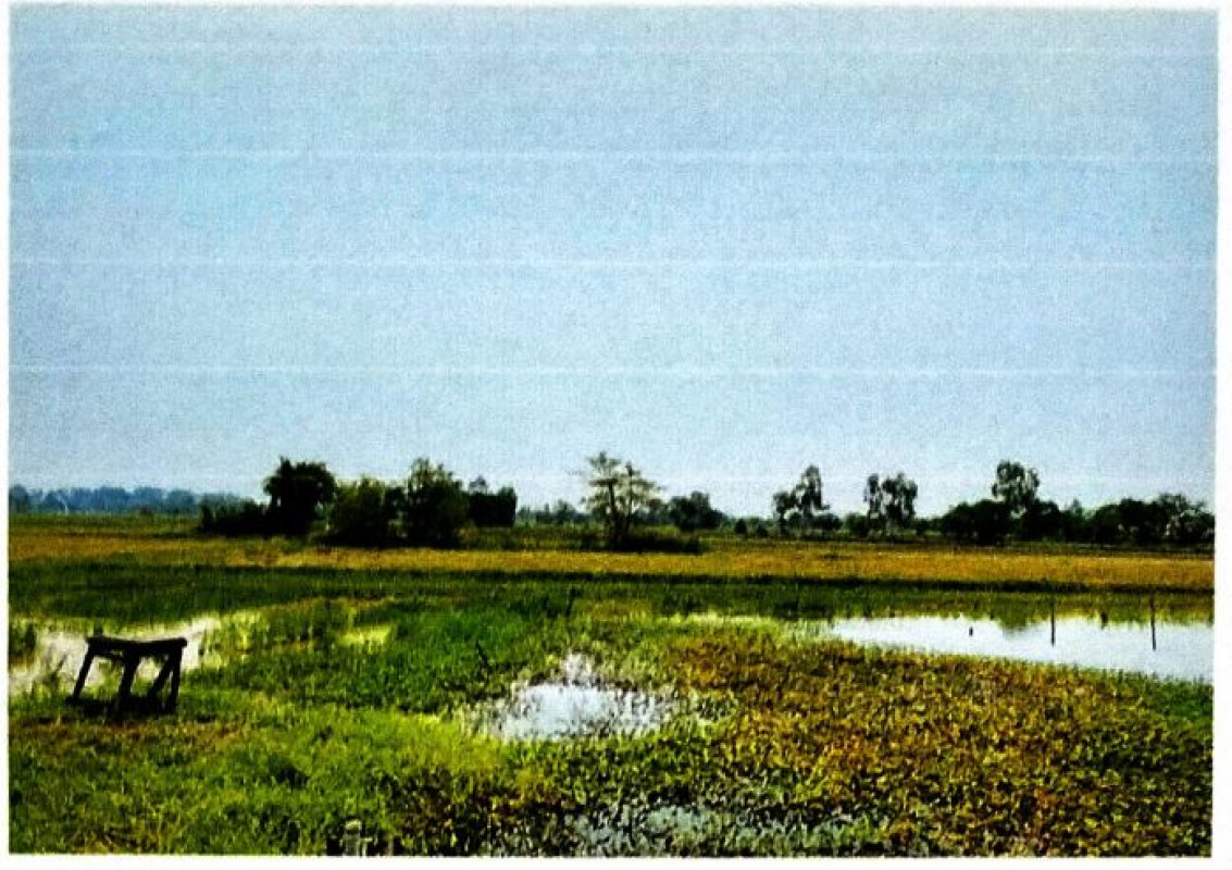 Residential land/lot Roi Et Phanom Phrai Sa Kaeo 281200