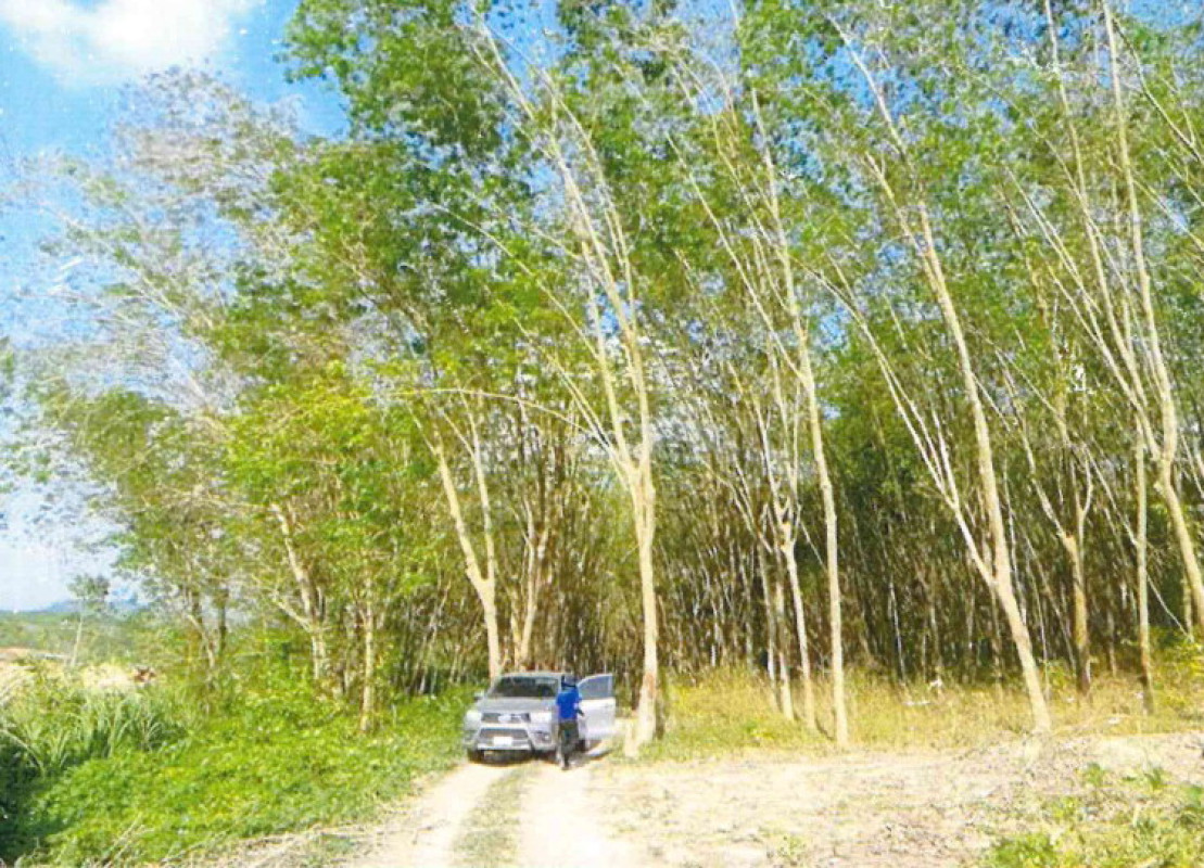 Single house Rayong Mueang Rayong Kachet 11968598
