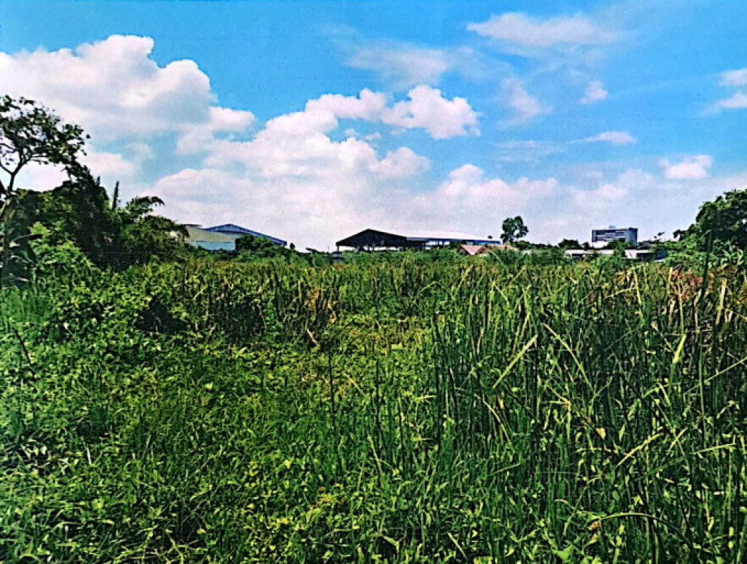 ที่ดินเปล่า นครศรีธรรมราช เมืองนครศรีธรรมราช ในเมือง 5938800