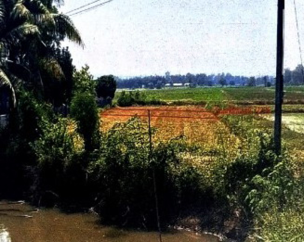 ที่ดินเปล่า พิษณุโลก พรหมพิราม มะต้อง 15600