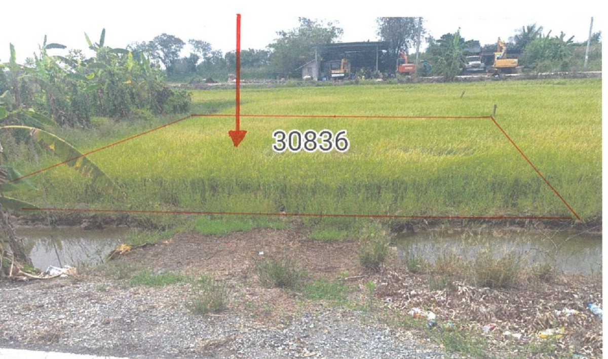 ที่ดินเปล่า นนทบุรี ไทรน้อย หนองเพรางาย 203000