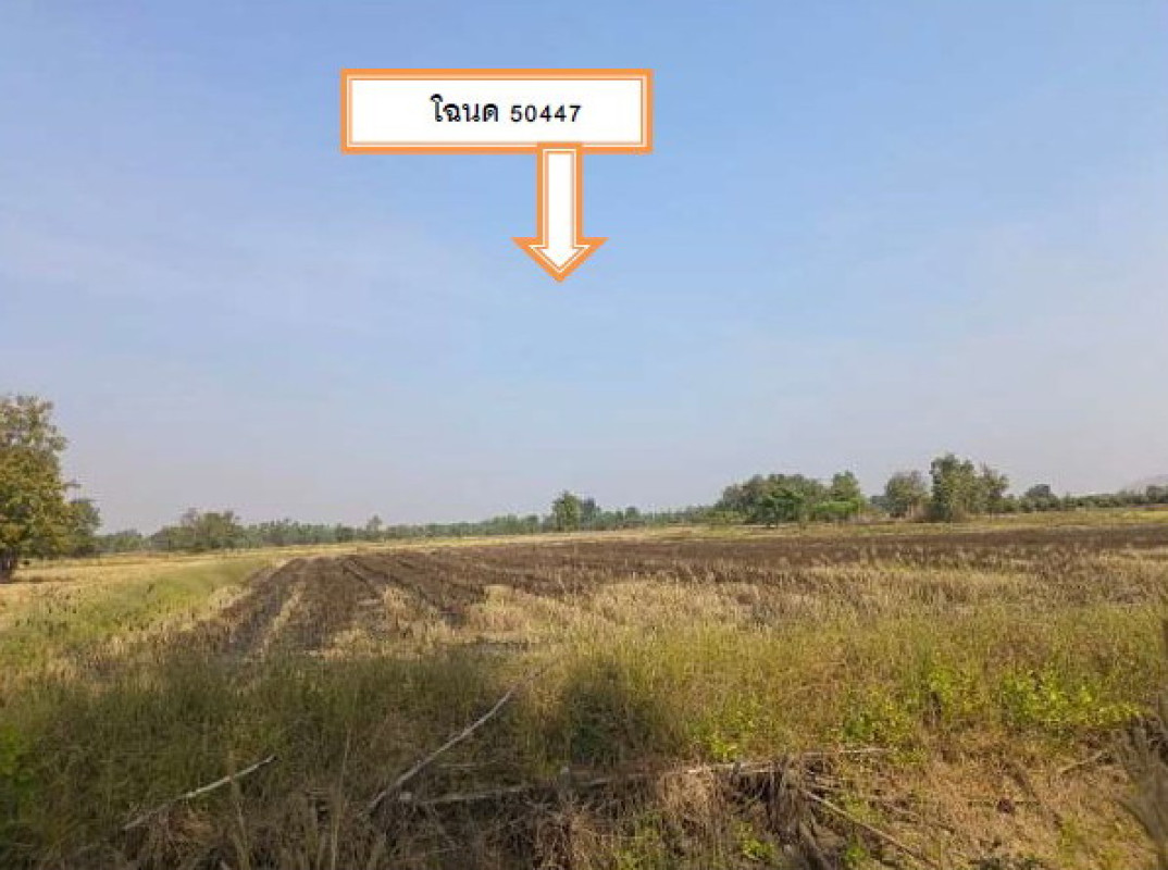 ที่ดินเปล่า พิจิตร ตะพานหิน วังหลุม 300000