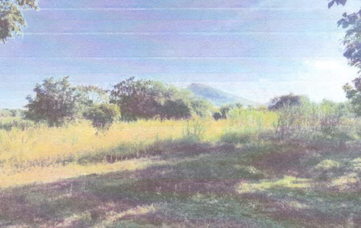 Residential land/lot Loei Phu Luang Phu Ho 571870