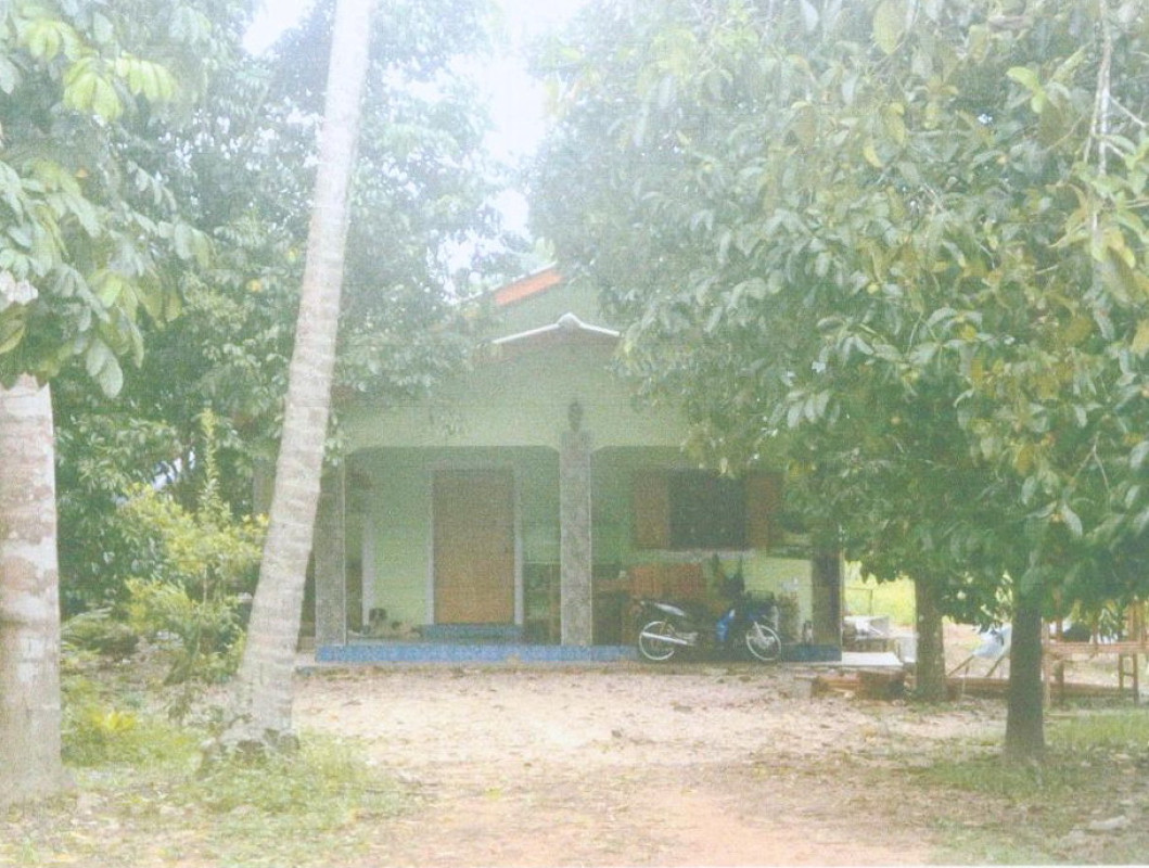 บ้านเดี่ยว นครศรีธรรมราช พรหมคีรี ทอนหงส์ 1805913
