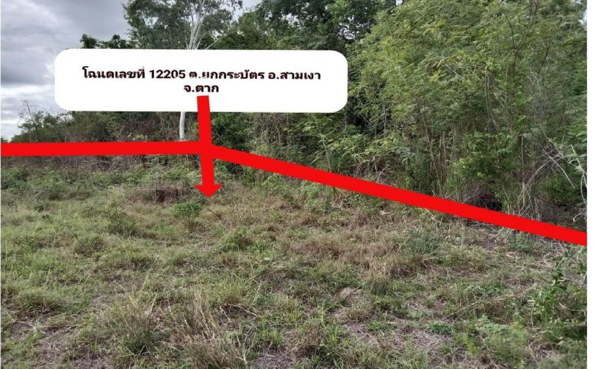 ที่ดินเปล่า ตาก สามเงา ยกกระบัตร 84760