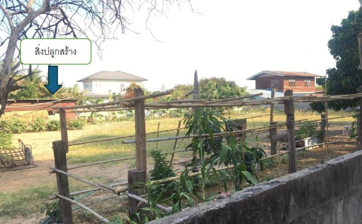 Single house Yasothon Kut Chum Huai Kaeng 63225