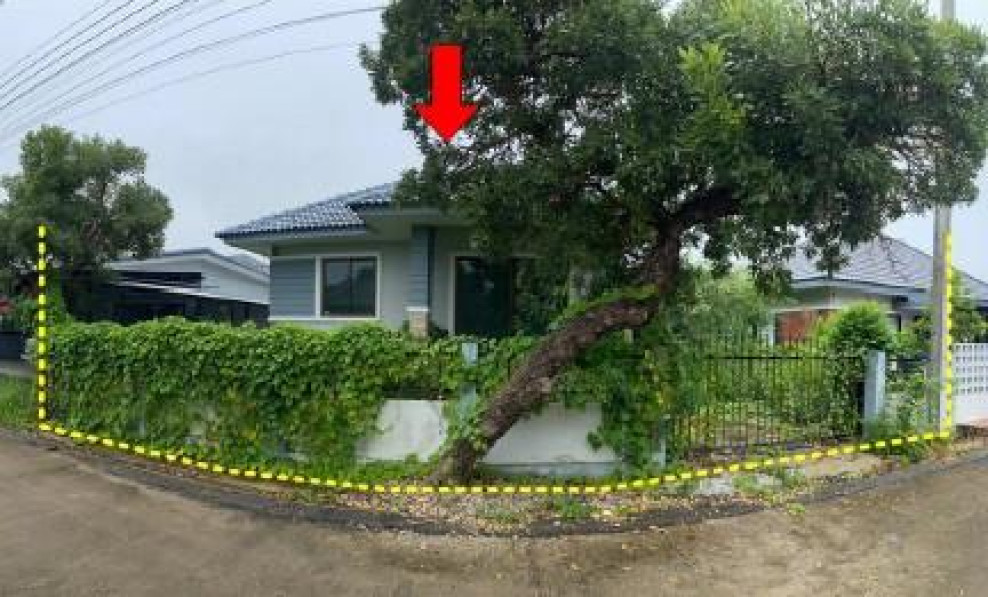 บ้านเดี่ยว ลำพูนแลนด์แอนด์เฮ้าส์4 ลำพูน เมืองลำพูน ต้นธง 1700000