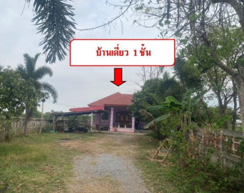Single house Buri Ram Ban Mai Chaiyaphot Nong Yueang 1955000