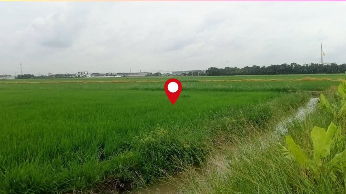 ที่ดินเปล่า ปทุมธานี ลำลูกกา บึงคำพร้อย 20000000
