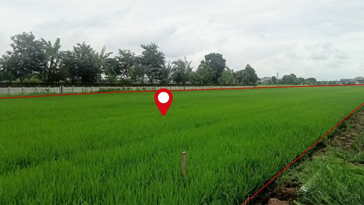 ที่ดินเปล่า ปทุมธานี ลำลูกกา บึงคำพร้อย 20000000