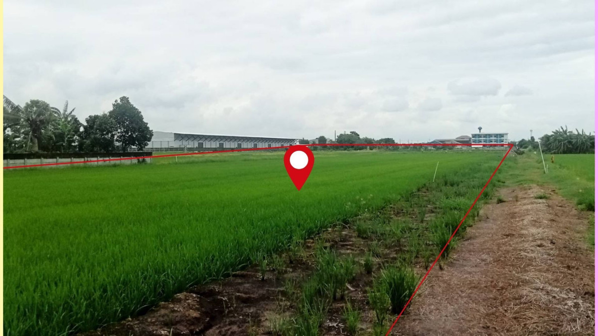 ที่ดินเปล่า ปทุมธานี ลำลูกกา บึงคำพร้อย 20000000