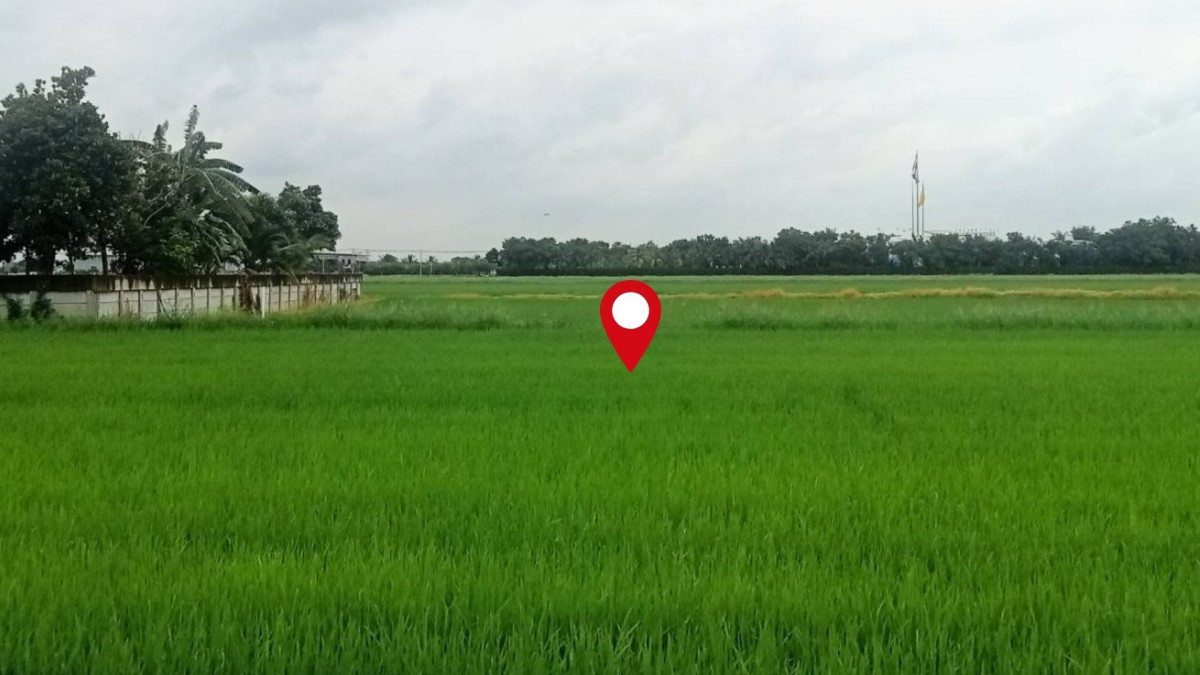 ที่ดินเปล่า ปทุมธานี ลำลูกกา บึงคำพร้อย 20000000