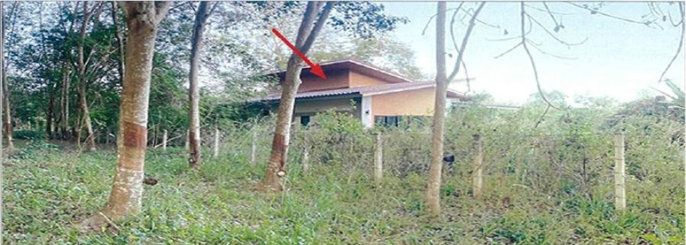 บ้านเดี่ยว ระยอง บ้านค่าย บางบุตร 2345000