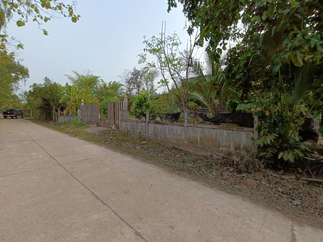 บ้านเดี่ยว บึงกาฬ บึงกาฬ โคกก่อง 3105000