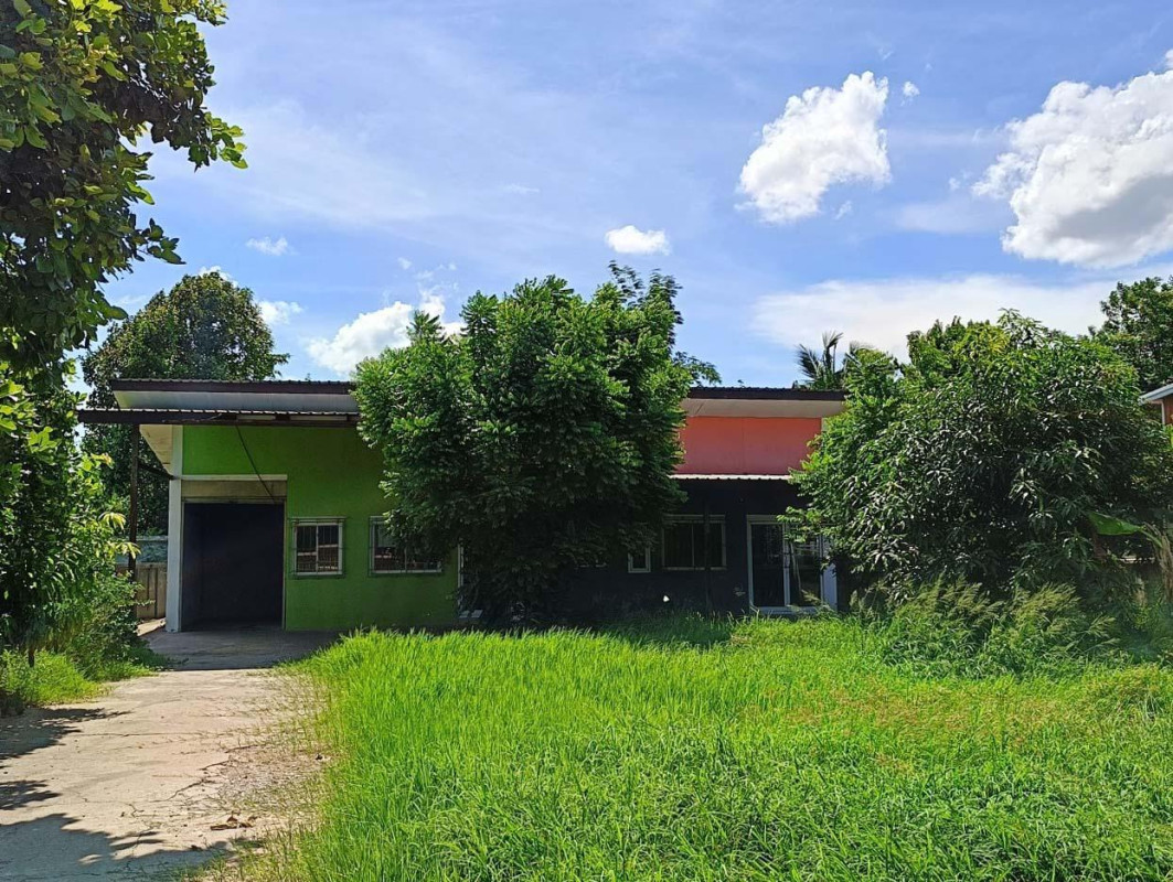 บ้านเดี่ยว ขอนแก่น บ้านไผ่ ในเมือง 5013000