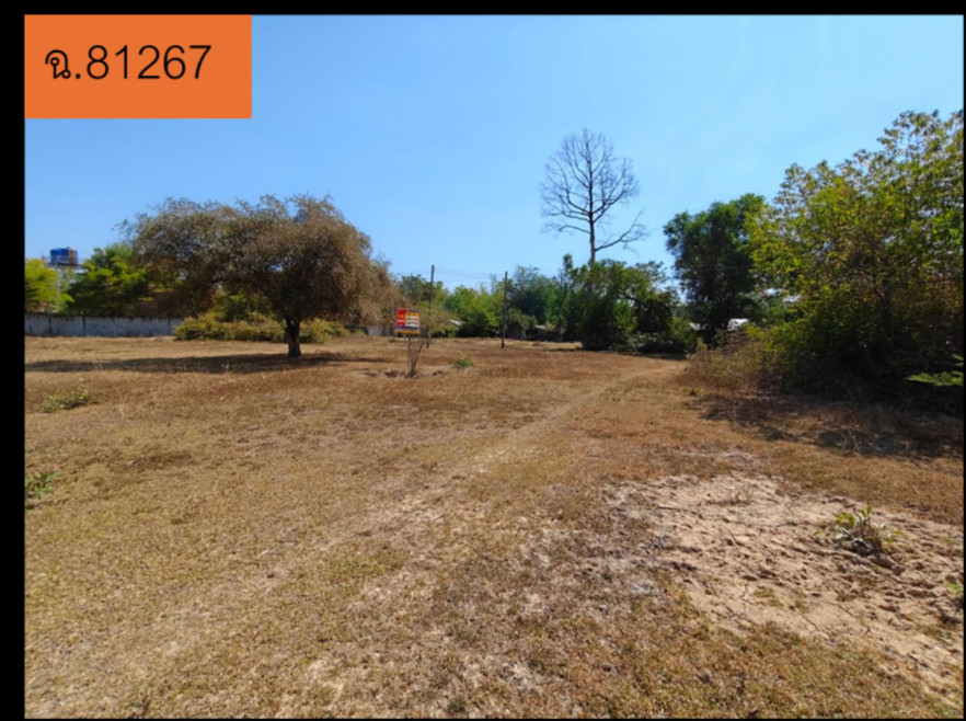 ที่ดินเปล่า พฤกษาพาร์ควิลล์ ร้อยเอ็ด เมืองร้อยเอ็ด เหนือเมือง 252000