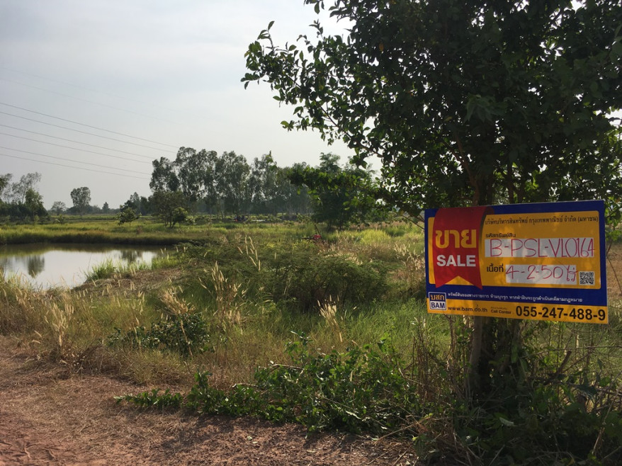 Residential land/lot Phitsanulok Mueang Phitsanulok Don Thong 2526000