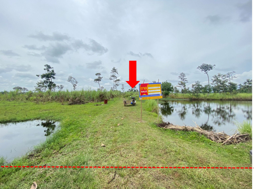 ที่ดินเปล่า ที่ดินเปล่า อุบลราชธานี อุบลราชธานี บุณฑริก หนองสะโน 2429000