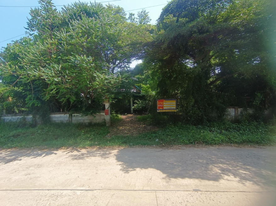 บ้านเดี่ยว บ้านเดี่ยว มหาสารคาม มหาสารคาม เมืองมหาสารคาม เกิ้ง 1348000