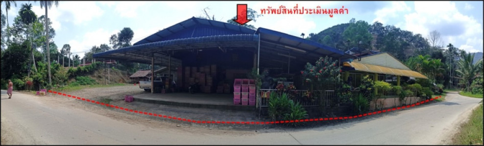 บ้านเดี่ยว บ้านเดี่ยว นครศรีธรรมราช นครศรีธรรมราช พรหมคีรี พรหมโลก 2580000