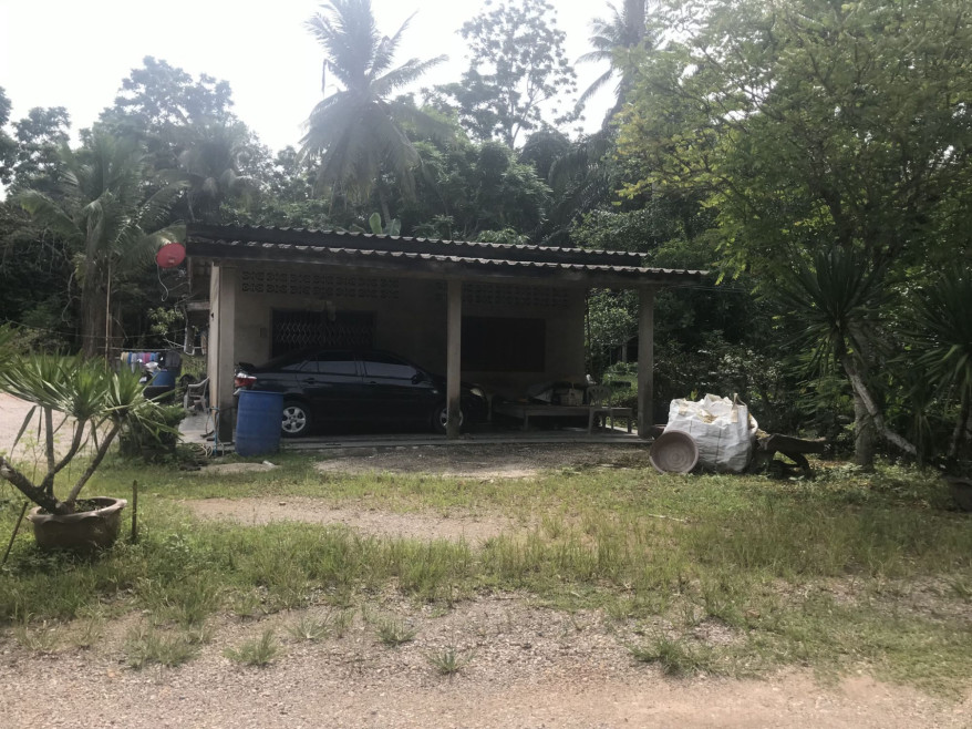 บ้านเดี่ยว บ้านเดี่ยว ตรัง ตรัง เมืองตรัง นาโต๊ะหมิง 2639000